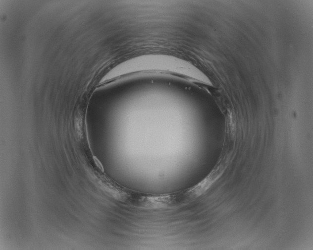 X0000068820188200605261600