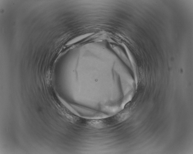 X0000068820189200605261600