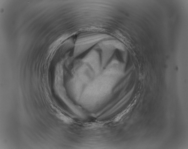 X0000068820193200605261559