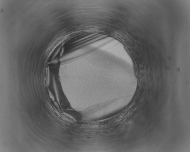 X0000068820194200605261559