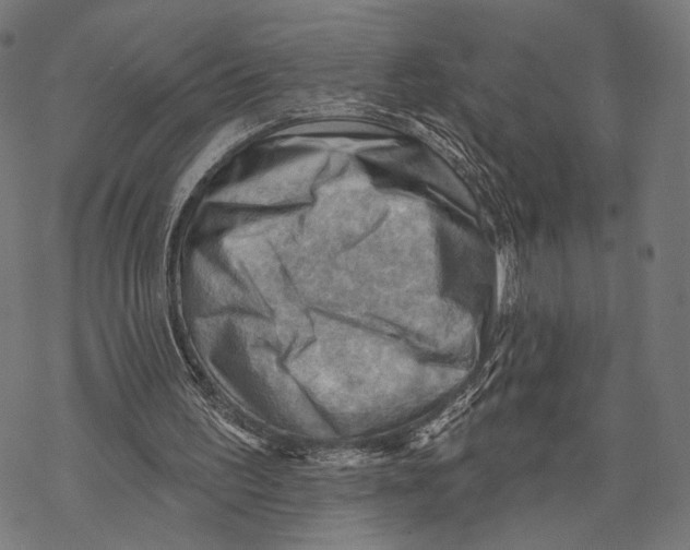 X0000068820195200605261559
