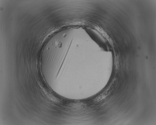 X0000068820201200605261559