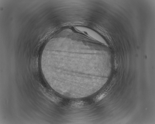X0000068820206200605261559