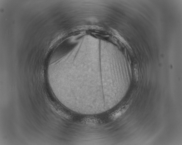 X0000068820207200605261559