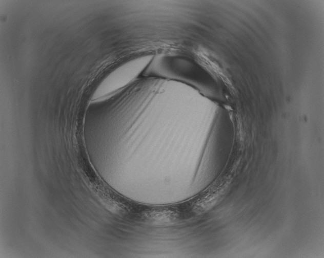 X0000068820209200605261559