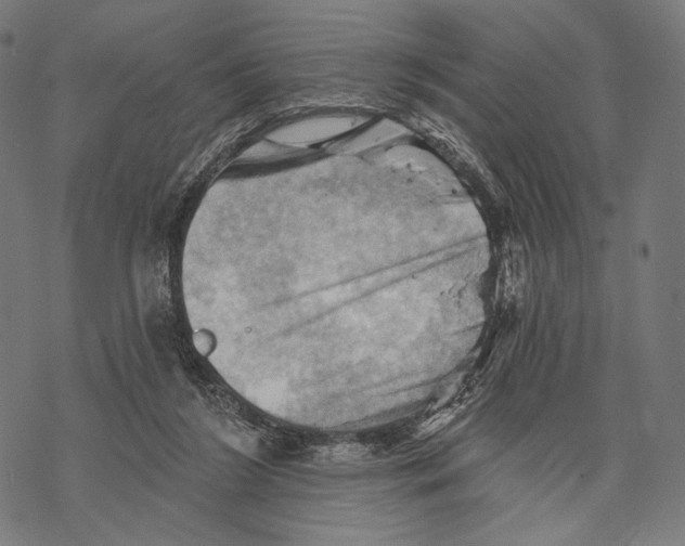 X0000068820212200605261559