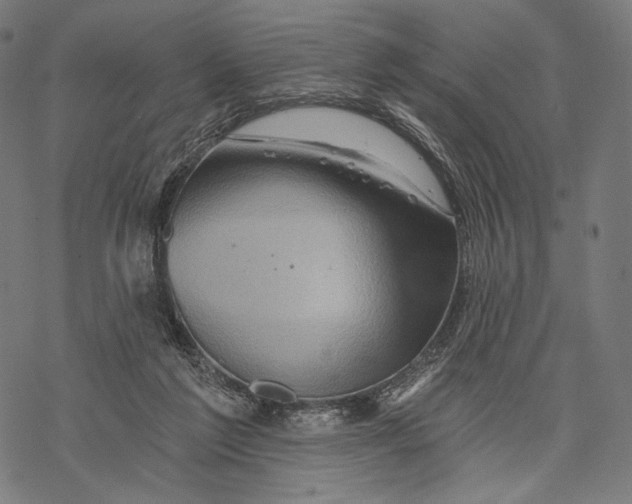 X0000068820213200605261559