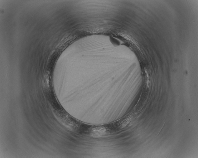 X0000068820214200605261559