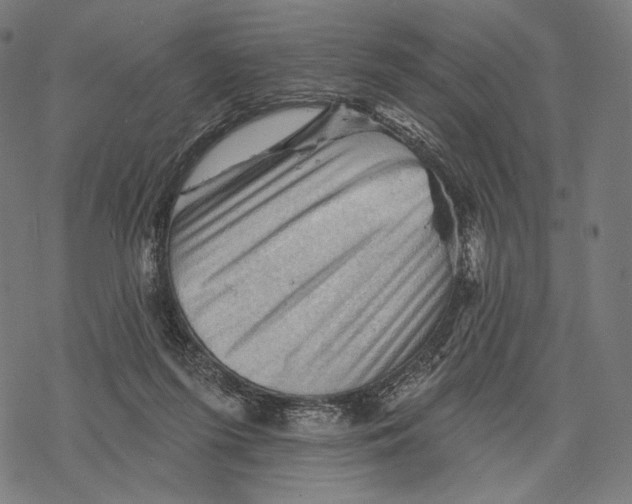 X0000068820215200605261559