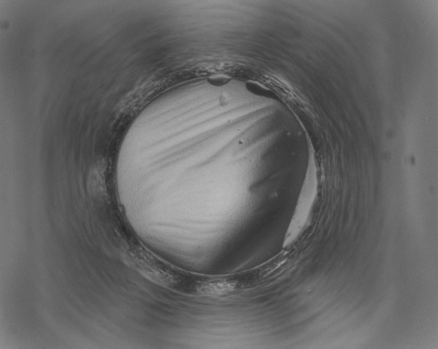 X0000068820217200605261559