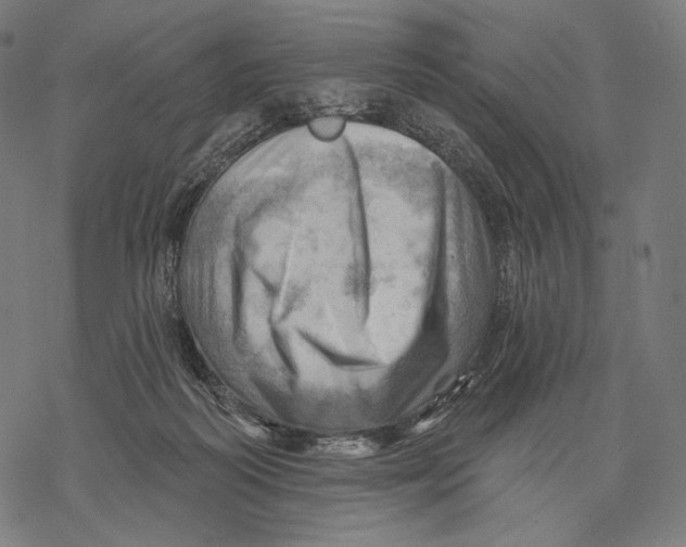 X0000068820218200605261559