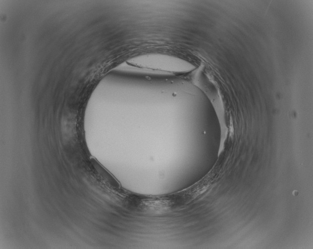 X0000068820221200605261558