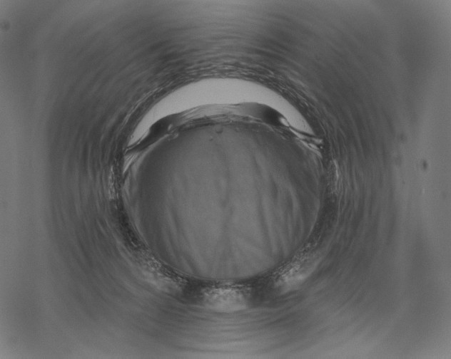 X0000068820224200605261558