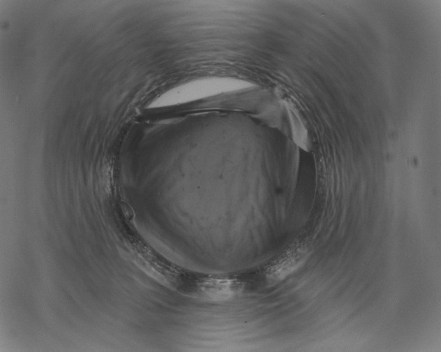 X0000068820227200605261558