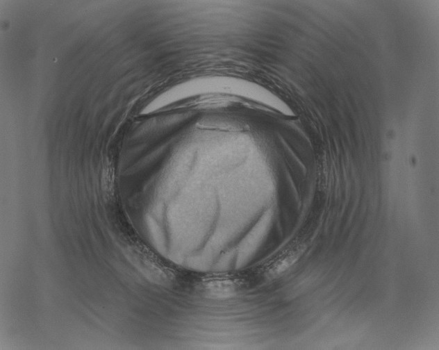 X0000068820228200605261558