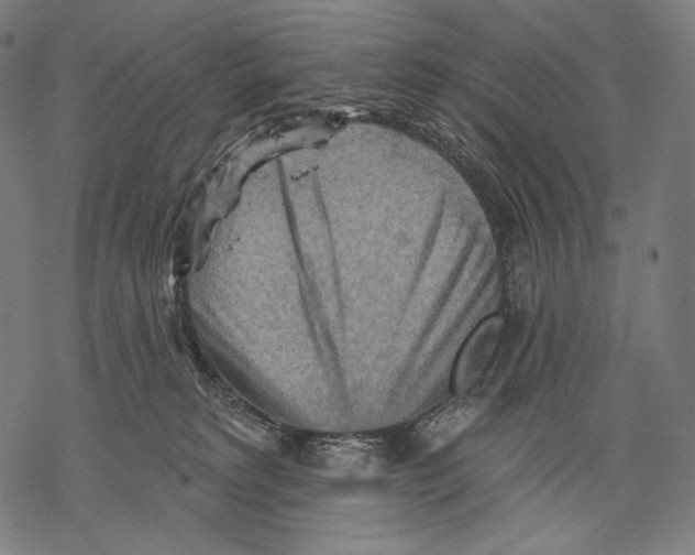 X0000068820229200605261558