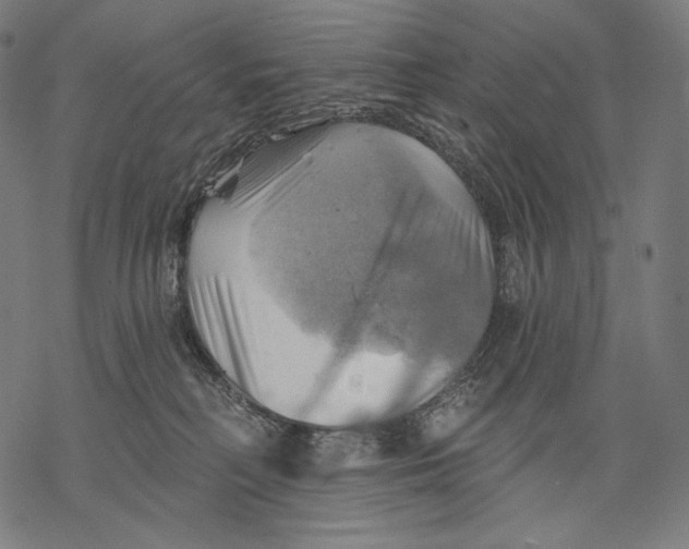 X0000068820230200605261558