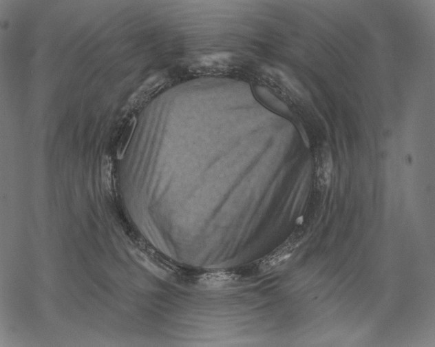 X0000068820231200605261558