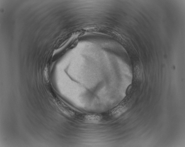 X0000068820234200605261558