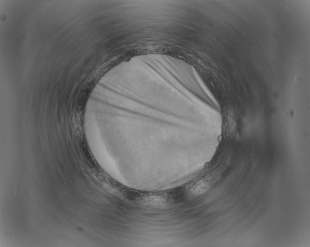 X0000068820236200605261558