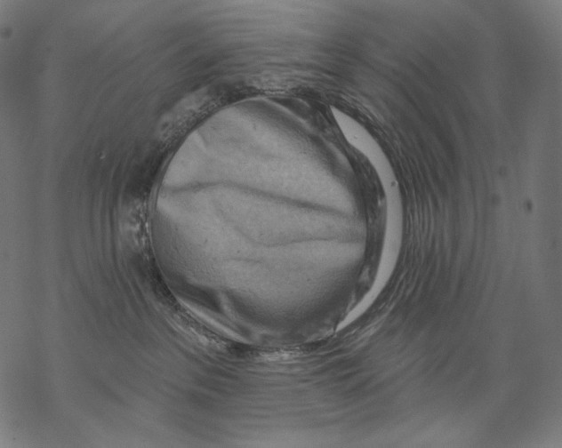 X0000068820237200605261558