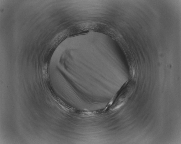 X0000068820239200605261558