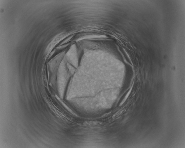 X0000068820242200605261557