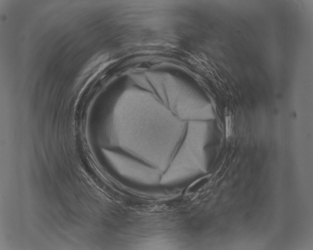 X0000068820243200605261557