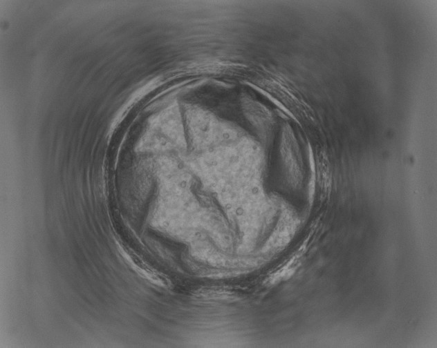 X0000068820244200605261557