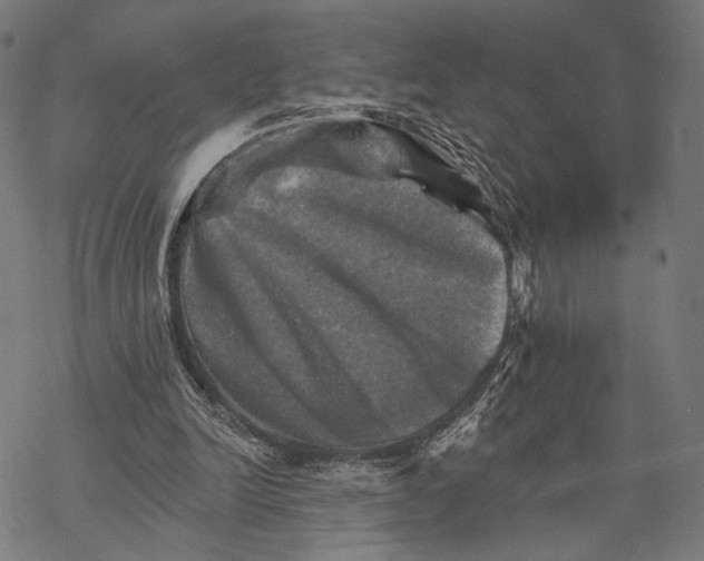 X0000068820246200605261557
