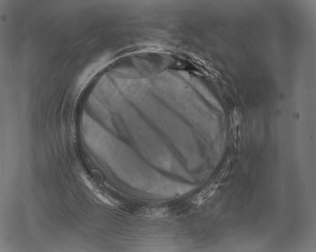 X0000068820247200605261557