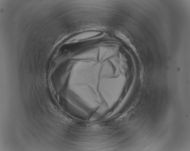 X0000068820249200605261557