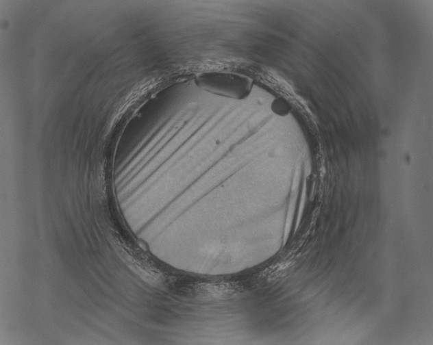 X0000068820250200605261558
