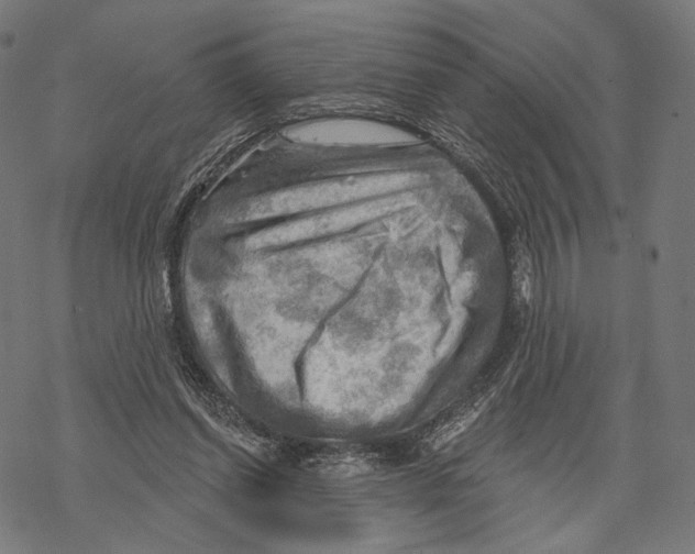X0000068820254200605261558