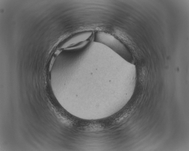 X0000068820256200605261558