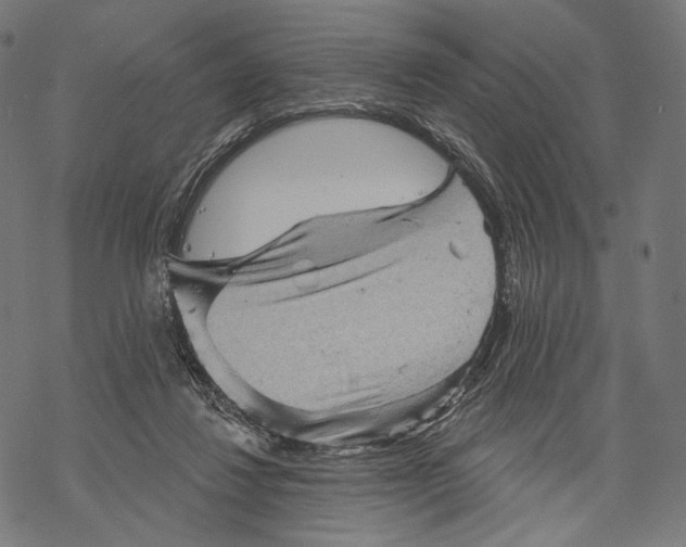 X0000068820260200605261558