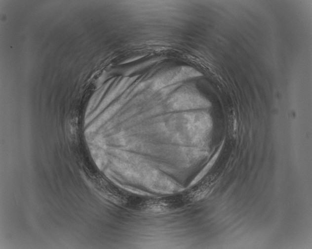 X0000068820263200605261558