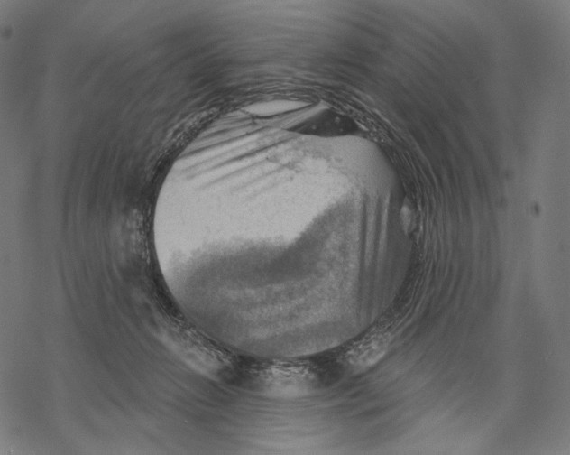 X0000068820270200605261558