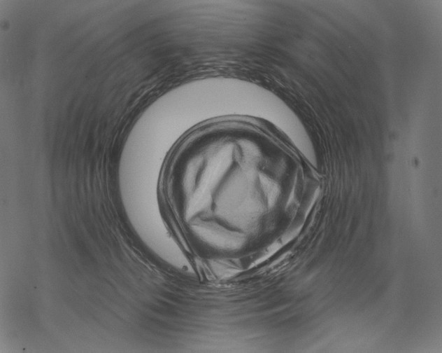 X0000068820276200605261558