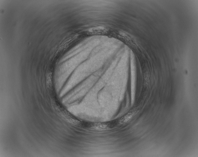 X0000068820278200605261558
