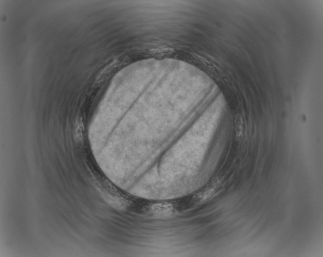 X0000068820279200605261558