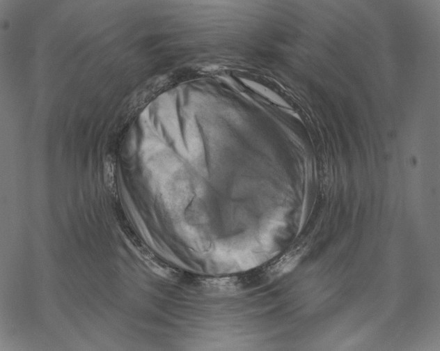 X0000068820281200605261558