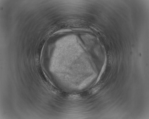 X0000068820283200605261558