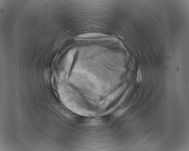 X0000068820286200605261558