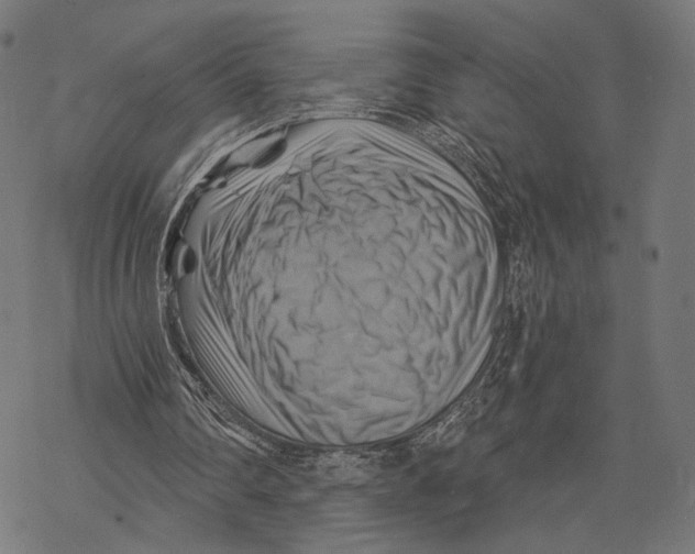 X0000068820290200605261557