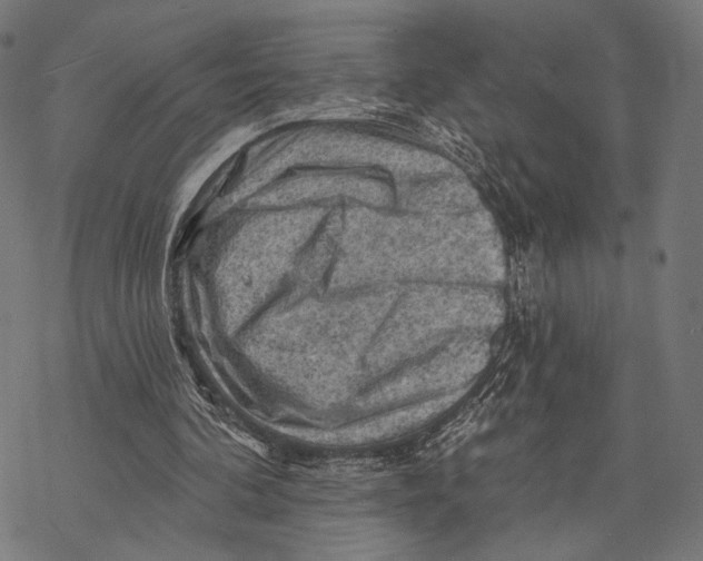 X0000068820292200605261557