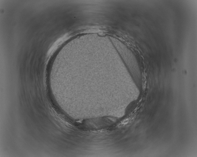 X0000068820296200605261557