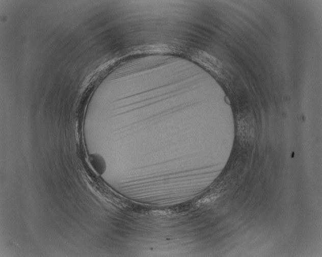 X0000068820302200605261557