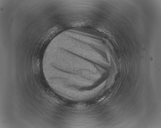 X0000068820308200605261557