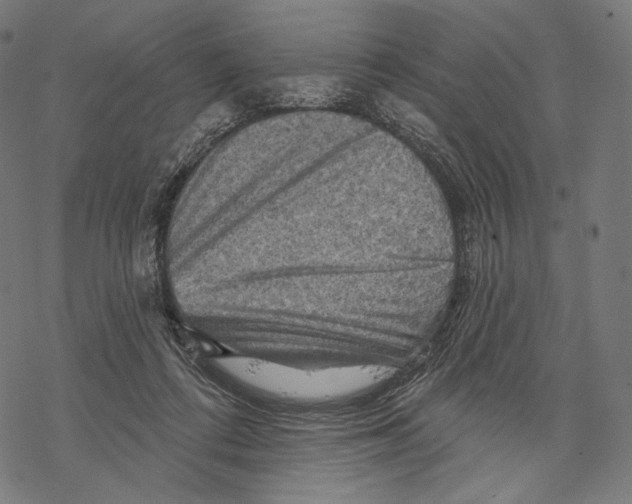 X0000068820312200605261557